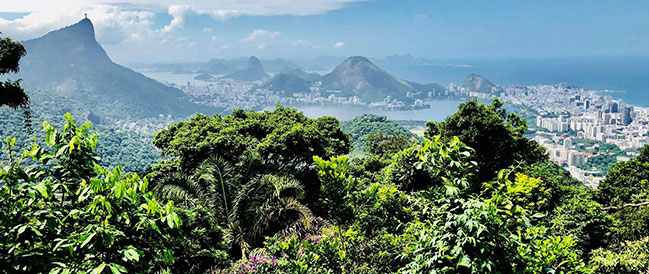[RJ] – A floresta da Tijuca é um oásis no Rio!